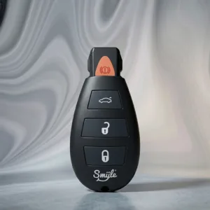 Car Key Penjamin by Smyle™ Labs